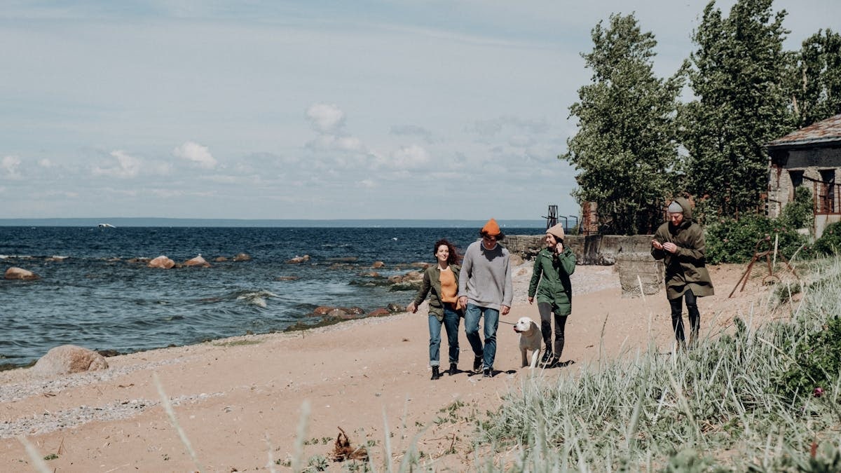 Four adults walking on a beach with a dog during the day.